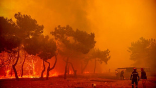 Πυρκαγιές: Εφιάλτης σε Έβρο, Λέσβο και Μεσσηνία