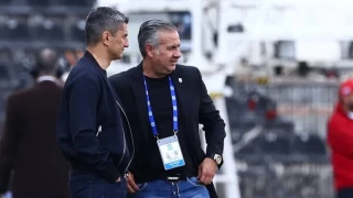 Ραζβάν Παναϊτέσκου: «Επαγγελματικές οι σχέσεις Λουτσέσκου-Μπότο»