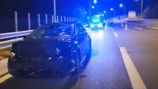 Κοζάνη: Τροχαίο με αρκούδα στην Εγνατία Οδό, σοβαρά τραυματισμένο το ζώο