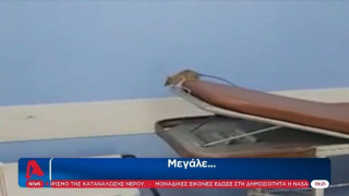 Αδιανόητο βίντεο: Ποντίκι κάνει...βόλτες σε νοσοκομείο