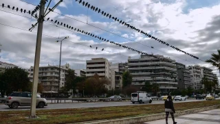 Ο καιρός την Δευτέρα (17/8): Ηλιοφάνεια με τοπικές νεφώσεις