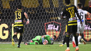 Ο Ντομινίκ και άλλοι επτά