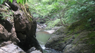 Καλλίνδοια: Πόλος τουριστικής ανάπτυξης η ανάδειξη του πανέμορφου Φαραγγιού της Σκάλας