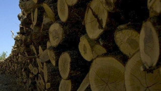 «Μας έκλεψαν 20 τόνους ξύλα που προορίζονταν για ανθρώπους που τα είχαν πραγματικά ανάγκη»