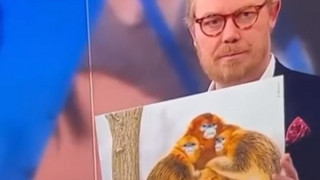 Δανός δημοσιογράφος συνέκρινε τους μαροκινούς ποδοσφαιστές με... μαϊμούδες