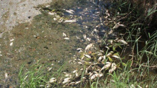 Εστία μόλυνσης το ρέμα που καταλήγει στη λίμνη Κορώνεια
