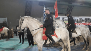 Θεσσαλονίκη: Δεκάδες άλογα στους δρόμους της πόλης!
