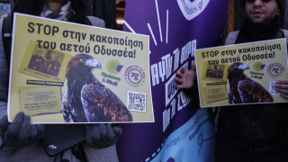 Κόμμα για τα ζώα: Διαμαρτυρία για κακοποίηση του αετού Οδυσσέα από την ΠΑΕ ΑΕΚ