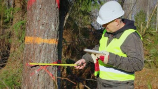 Μετάθεση με το «έτσι θέλω» στον μοναδικό δασολόγο της Λευκάδας- Τον έστειλαν 350 χλμ. μακριά