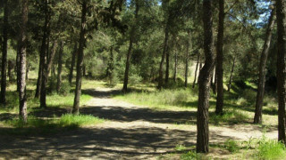 Θεσσαλονίκη: Νέα απαγόρευση κυκλοφορίας την Πέμπτη-Σε ποιες περιοχές θα ισχύσει