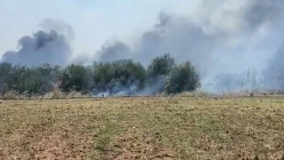 Θεσσαλονίκη: Φωτιά σε ξηρά χόρτα κοντά στον οικισμό «Αγία Σοφία»