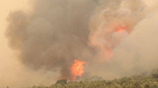 ΣΟΚ! Τουλάχιστον 18 νεκροί μετανάστες στο δάσος της Δαδιάς