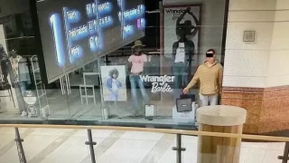 Πολωνία: Παρίστανε την... κούκλα βιτρίνας για να κλέβει καταστήματα σε εμπορικό κέντρο