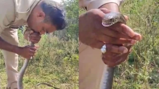 Αστυνομικός στην Ινδία έδωσε «το φιλί της ζωής» σε...φίδι