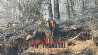 Κατερίνη: Συνεχίζεται για δεύτερη μέρα ο πύρινος εφιάλτης στα Πιέρια Όρη