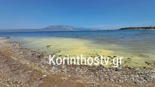 Κόρινθος: Γιατί κιτρίνισε η θάλασσα στο Αρχαίο Λιμάνι Λεχαίου