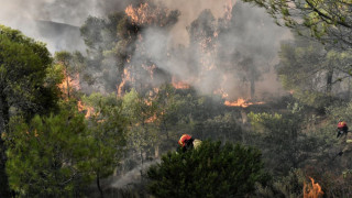 Κρήτη-Μεγάλη φωτιά στο Λασίθι: Κάτοικος με εγκαύματα στο νοσοκομείο