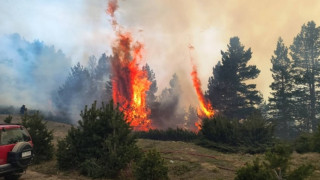 Θεσσαλονίκη: Φωτιά στο Δερβένι-Επιχειρούν και εναέρια μέσα