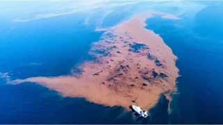 Θεσσαλία: Μπάζα από την κακοκαιρία Daniel δημιούργησαν νησίδα στον Παγασητικό!