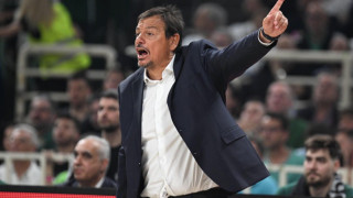 The Specialist: Μικρό προβάδισμα για ΠΑΟ-Ολυμπιακό στην Ευρωλίγκα, μάχες για Τσάμπιονς Λιγκ και Κόνφερενς-EUROPA