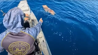 Πάρος: Βγήκε για ψάρεμα στο πέλαγος και διέσωσε σκύλο! (vid)