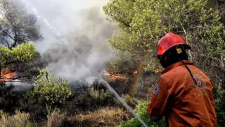 Χαλκιδική: Συνελήφθη 51χρονος για τη φωτιά στον Νέο Μαρμαρά