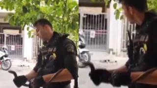 Θεσσαλονίκη: Αστυνομική επιχείρηση για φίδι που ήταν… σαύρα!