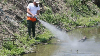 Θεσ/νίκη: Πού γίνονται σήμερα & αύριο επίγειοι ψεκασμοί για κουνούπια