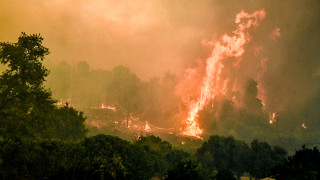Ηλεία: Ολονύχτια μάχη με τις φλόγες σε πολλαπλά μέτωπα - Στο «κόκκινο» Στερεά και Πελοπόννησος