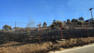 Πυρκαγιά στην Ηλεία: Νεκρός 55χρονος που πήγε να βοηθήσει στην κατάσβεση! (vids)