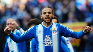 Αναζωπύρωση της μεταγραφικής δραστηριότητας