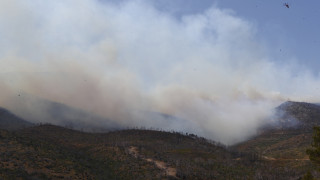 Φωτιά στην Πάρνηθα: Πώς προκλήθηκε η πυρκαγιά-Ενισχύονται οι πυροσβεστικές δυνάμεις