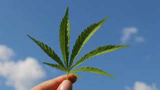 Αργυρούπολη: 41χρονος έκρυβε 33 κιλά κάνναβης στο αυτοκίνητό του