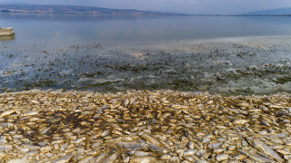 Σε δραματική κατάσταση η Λίμνη Κορώνεια - Κραυγή αγωνίας για να μη στερέψει