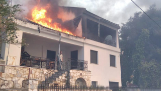 Ρεπόρτερ του Star σώζει σκύλο από την πύρινη κόλαση στη Νέα Πεντέλη (vid)