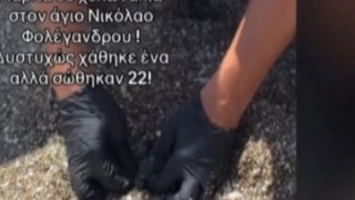 Φολέγανδρος: Διασώστης έκανε ΚΑΡΠΑ σε μικρή θαλάσσια χελώνα