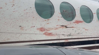 Αεροπλάνο βάφτηκε με αίμα ενώ βρισκόταν στον αέρα