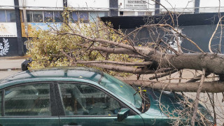Έπεσαν δέντρα έξω από το γήπεδο της Τούμπας, τι θα γίνει με την αναμέτρηση του ΠΑΟΚ
