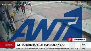 Νέο βίντεο-ντοκουμέντο: Καρέ-καρέ ο άγριος ξυλοδαρμός υπαλλήλου που φορούσε ζακέτα του Άρη