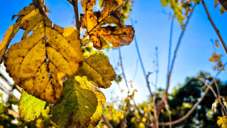 Ο καιρός της Πέμπτης (19/12): Αίθριος με μικρή πτώση θερμοκρασίας