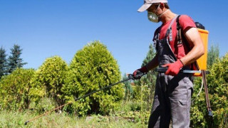 Στη Χαλκιδική κατασχέθηκε η μεγαλύτερη ποσότητα παράνομων φυτοφαρμάκων