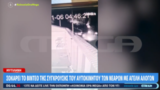 Μυτιλήνη: Νεκρός 19χρονος σε σοκαριστική σύγκρουση αυτοκινήτου με αγέλη αλόγων