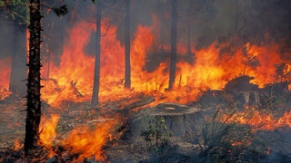 ΕΚΤΑΚΤΟ: Ακινητοποιημένο τρένο λόγω φωτιάς κοντά στη δυτική Θεσ/νίκη