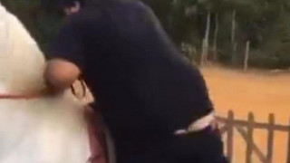 Κλάμα! Προσπάθησε να ανέβει σε άλογο αλλά έπεσε κάτω! (video)