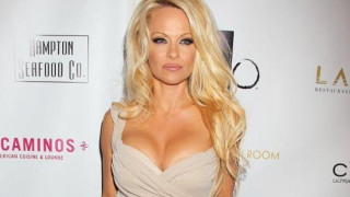 Η Pamela Anderson στη φόρα σε ΚΑΥΤΟ υλικό που διέρρευσε! (pics)