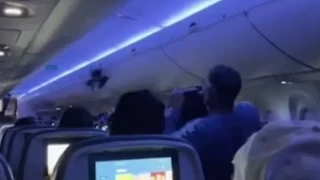 Περιστέρι μπήκε μέσα σε αεροπλάνο από το... πουθενά