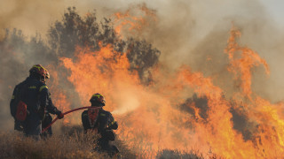 Φωτιά στο Σύδενδρο Γρεβενών: Επί ποδός η Πυροσβεστική-Εστάλη μήνυμα από το 112