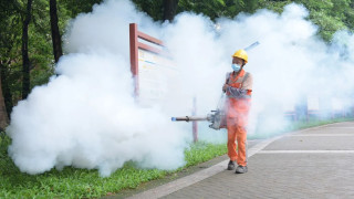 Ιός Chikungunya: Περισσότερα από 10.000 κρούσματα στην Κίνα-Σε επιφυλακή Ευρώπη και ΗΠΑ