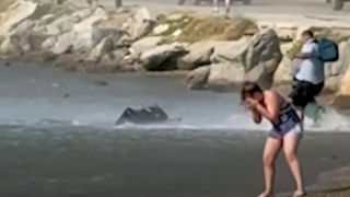 Σκιάθος: Δεν κόβεται η συνήθεια με τους τουρίστες και τα αεροπλάνα