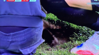 Αυστρία-Κύπρος: Διακοπή του παιχνιδιού για απίθανο λόγο!